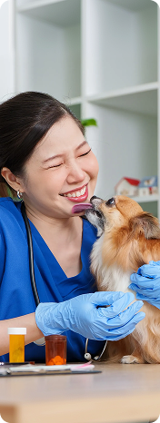 Vet