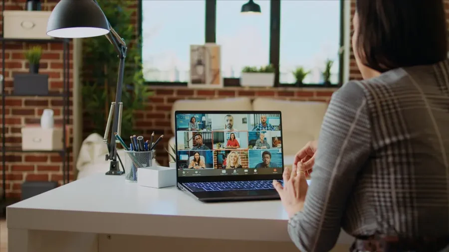 Virtual meeting software