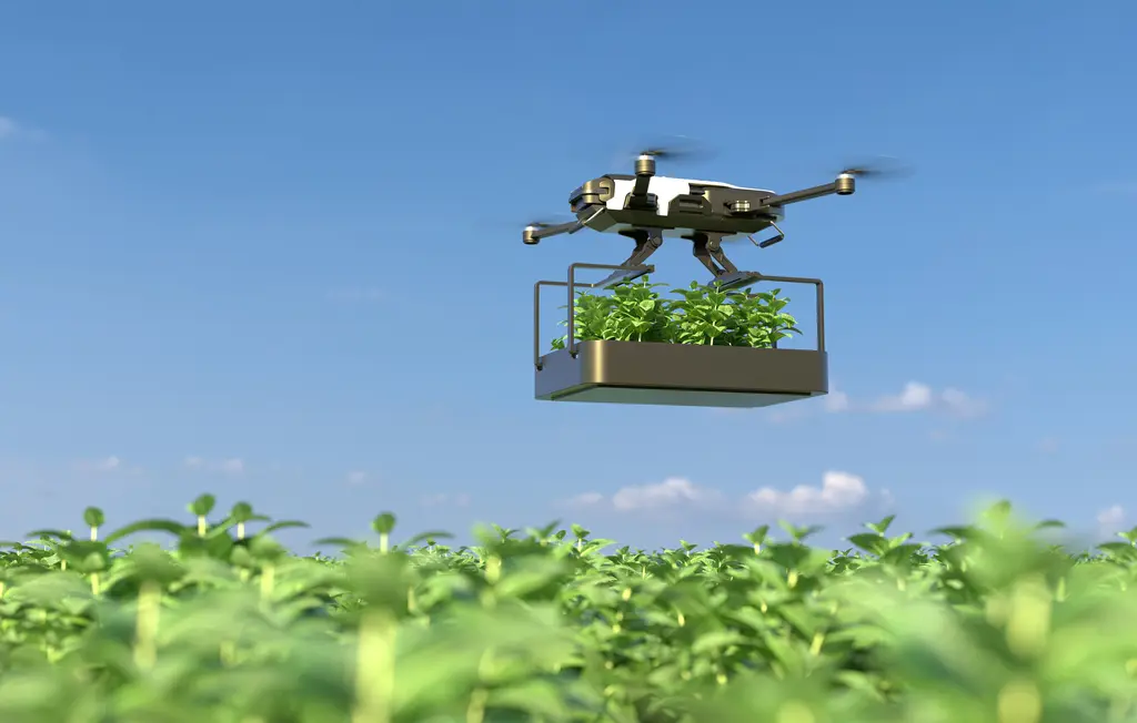 7 Ways Automation Is Changing Indian Agriculture: From Traditional Fields to Smart Farms 7 Ways Automation Is Changing Indian Agriculture: From Traditional Fields to Smart Farms